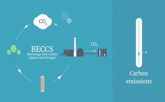 Aplicación de bombas de vacío en captura de carbono.